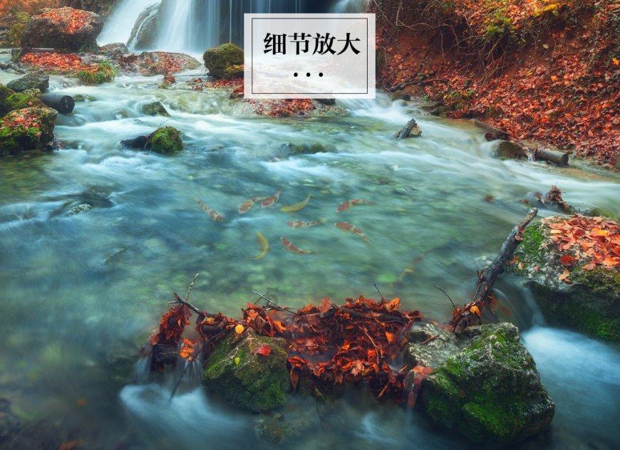 探索世界,尽在怎样炸油炸糕蜗牛问答平台